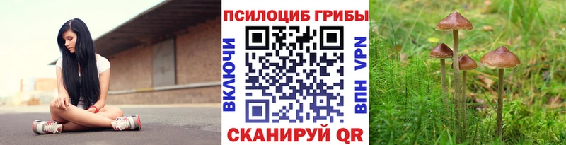 Купить  Лихославль  Галлюциногенные грибы Cubensis 
